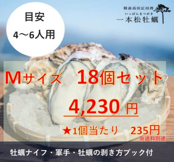 画像1: 【生食用】一本松牡蠣　18個セット (1)