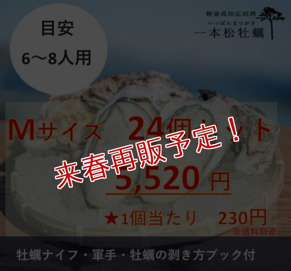 画像1: 【生食用】一本松牡蠣　24個セット (1)