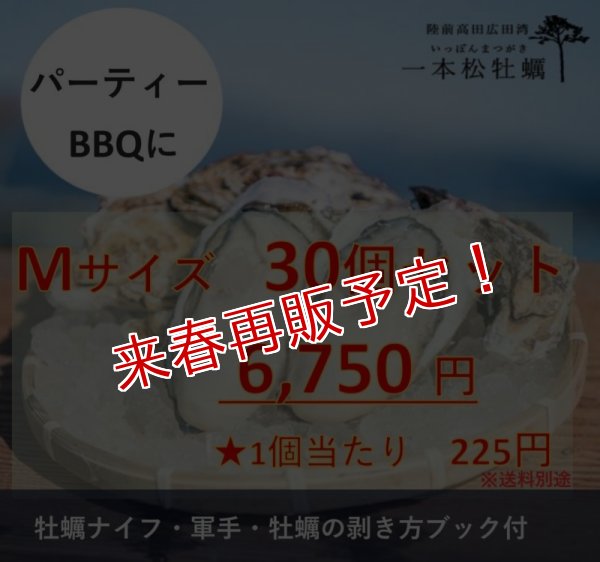 画像1: 【生食用】 一本松牡蠣　30個セット (1)