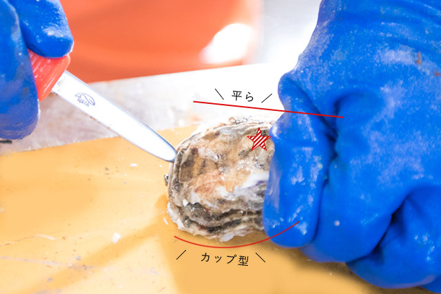 牡蠣の剥き方2