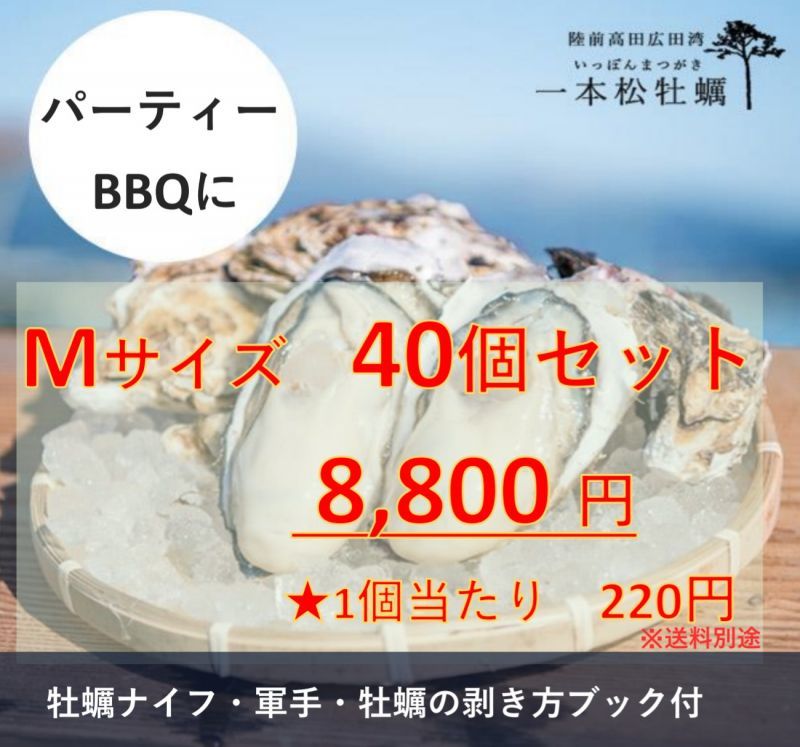 生食用 一本松牡蠣 40個セット うおたく 殻付き生牡蠣 カキ 通販漁師直送でお届けする鮮魚店